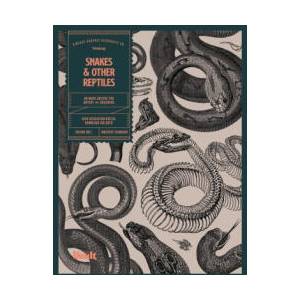 Snakes and Other Reptiles (ISBN: 9781925968880)