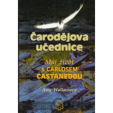 Čarodějova učednice - Amy Wallaceová
