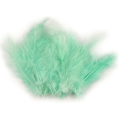 Pštrosí peří délka 9-16 cm mint