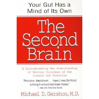 Second Brain