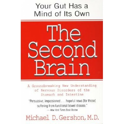 Second Brain