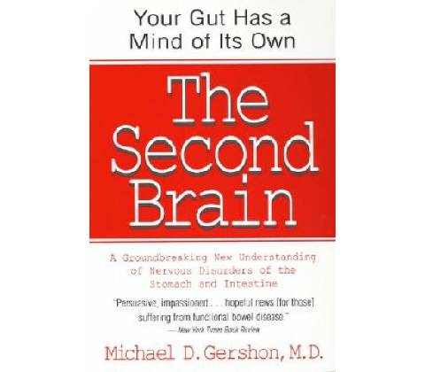Second Brain