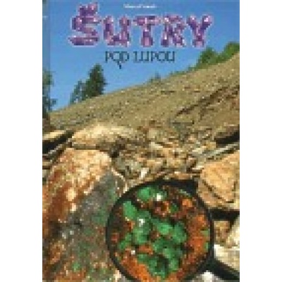 Šutry pod lupou - Marcel Vanek