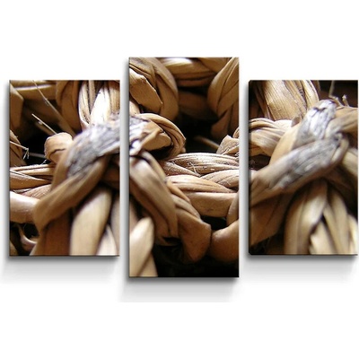 Sablio Obraz - 3-dílný Banánové listy - 75x50 cm
