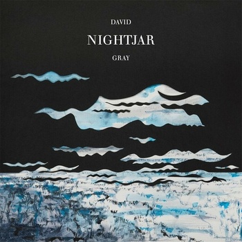 David Gray - Nightjar 2 LP