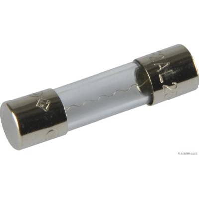 Poistka HERTH+BUSS ELPARTS 50295050
