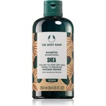 The Body Shop Shea Shampoo подхранващ шампоан 250ml