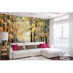 DIMEX ART Самозалепваща се флизелинова фототапета картина - есен 375 x 250 см