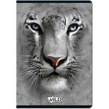 Beniamin Sešit Wild tygr 564