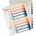 Esselte Printing cardboard screens A4 1-10 (100213)