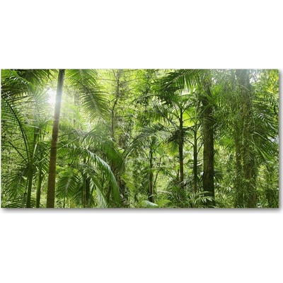 Foto obraz sklo tvrzené tropický les 100x50 cm