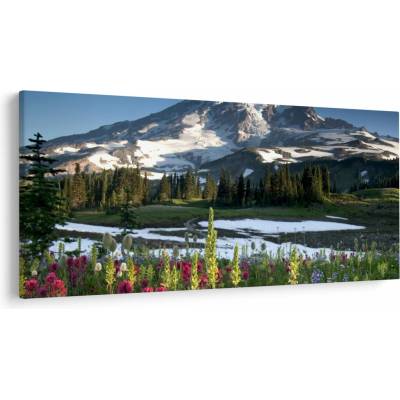 Obraz - Mount Rainier, jednodielne 250x125 cm
