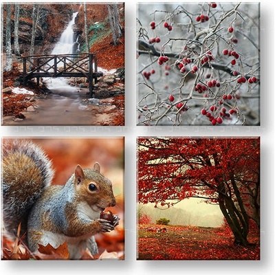 Obraz na stenu Beauty of Autumn - 40x40 cm