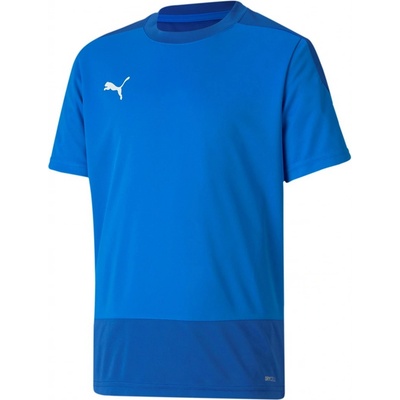 Puma teamGOAL 23 Training Jersey 65648202