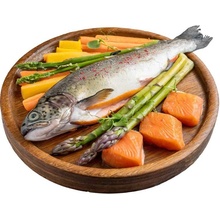 TYGERO 50 Adult malé plemeno s lososem a pstruhem 2 kg