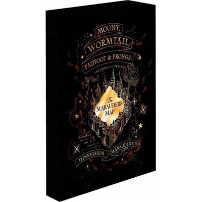Paladone Svítící obraz Harry Potter - Pobertův plánek