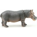 Atlas C - Hroch obojživelný 12 cm