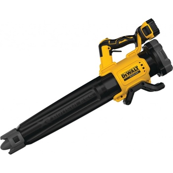 DeWalt 18 V XR DCMBL562P1