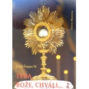 Teba, Bože, chváli...