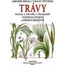 Trávy traviny a trávniky v ilustracích Vojtěcha Štolfy a Zdenky Krejčové
