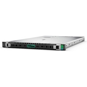 HP ProLiant DL360 Gen12 P89233-425