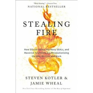 Stealing Fire (ISBN: 9780062429667)