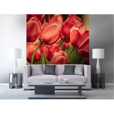 Dimex MS-3-0128 vliesová fototapeta na zeď Červené tulipány rozměry 225 x 250 cm