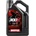 Motul 300V Factory Line Road Racing 10W-50 4 l