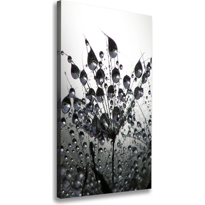 Vertikálny foto obraz na plátne Semená púpavy 50x100 cm