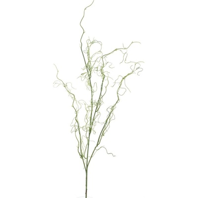 Kykatka - Tilandsie 'Momo' zelená V124 cm