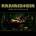Rammstein - Liebe Ist Für Alle Da (2 LP) (0602527296784)