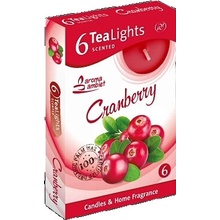 Santo Candles Tea Lights Cranberry 6 ks