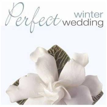 Various : Perfect Winter Wedding CD
