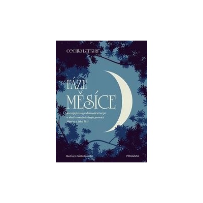 Fáze Měsíce - Lattari Cecilia