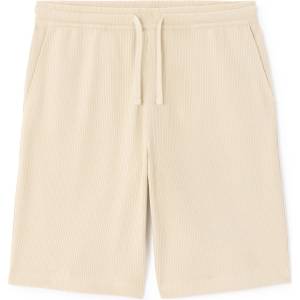 CELIO NOVOBM XL