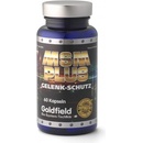 Goldfield MSM-Plus 60 kapsúl
