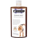 Proactivet Zdravá srst Derma šampon 250 ml