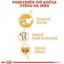 Granule pro kočky Royal Canin British Shorthair Adult 0,4 kg