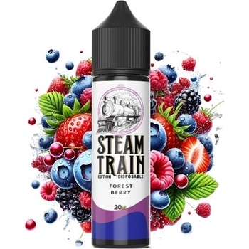 Steam Train Disposable Edition Forest Berry 20ml/60ml