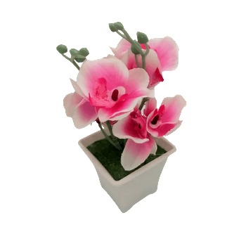 Image 1 of Quanzhou Yixin Commerce & Trade Co. , Ltd Орхидеи в саксийка 416107