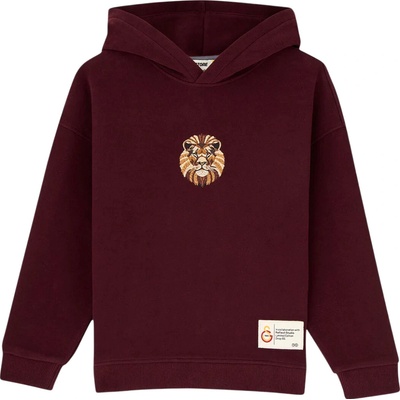 Puma GSSTORE X Reflect Studio Lion Kids vínová