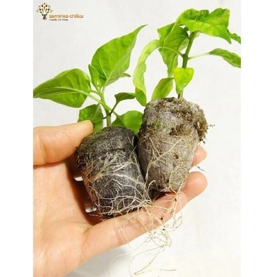 Rašelinové tablety JIFFY – Zbozi.Blesk.cz