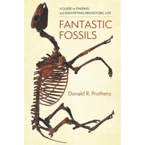 Fantastic Fossils | Donald R. Prothero (ISBN: 9780231195782)