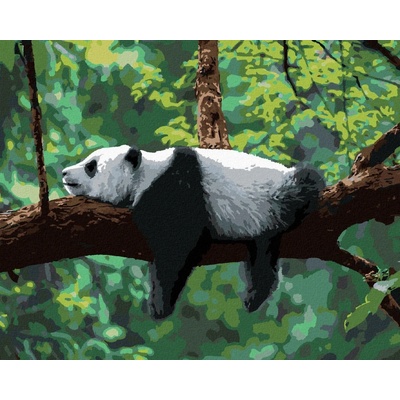 zuty malování podle čísel Panda ležící na stromě 80 x 100 cm bez rámu a bez vypnutí plátna