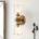 Elstead Lighting Quoizel STARING-2WB-DG-CLEAR - Медно настенно осветително тяло STARING 2xE27/40W/230V (ED0881)