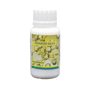 Advanced Hydroponics of Holland Advanced Silica 100ml
