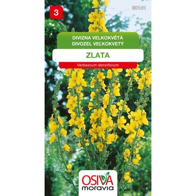 Divizna velkokvětá Osiva moravia 0,2 g