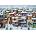 Magnolia - Puzzle Snow in Old Tbilisi - 1 000 piese