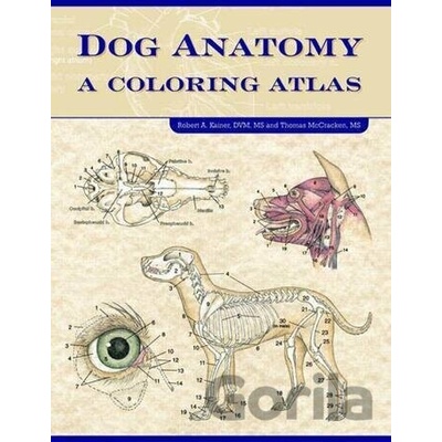 Dog Anatomy: A Coloring Atlas: A Colouring At- Robert Kainer, Thomas O. McCra