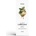 Лубрикант с аромат, ментова мока - Juicy Minty Mocha 300ml (SATISFY537)